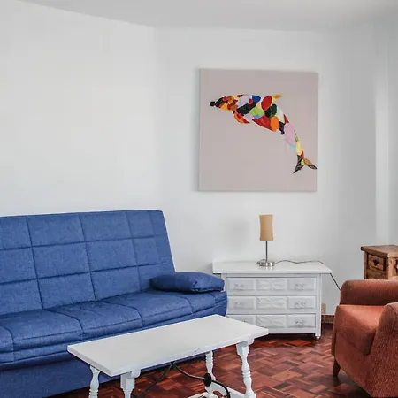 Nogalera Centro Apartament *
